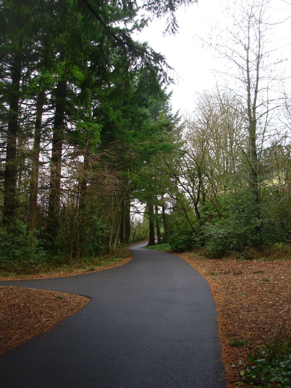 Walks and Hikes in Portland and Beyond Lake Oswego Up to Mt