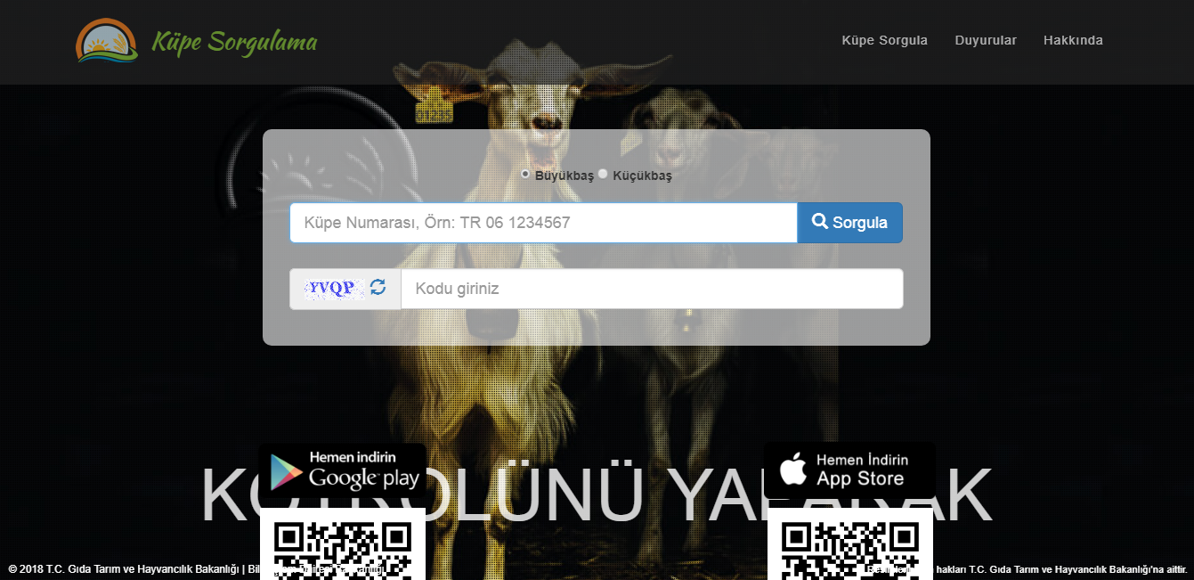 Büyükbaş Hayvan Küpe Sorgulama