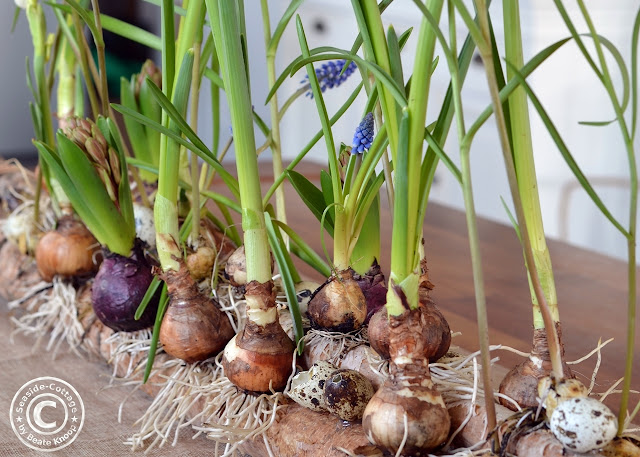 Naturdeko für Frühling und Ostern Seaside-Cottage-Blog