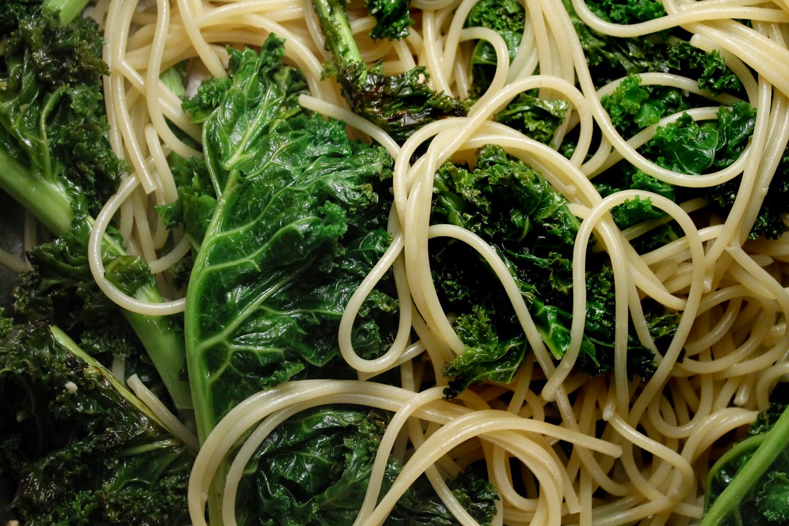 The 99 Cent Chef Pasta with Kale