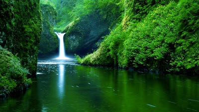 Green Forest Full HD Waterfall Nature Wallpapers for Laptop Desktop Widescreen