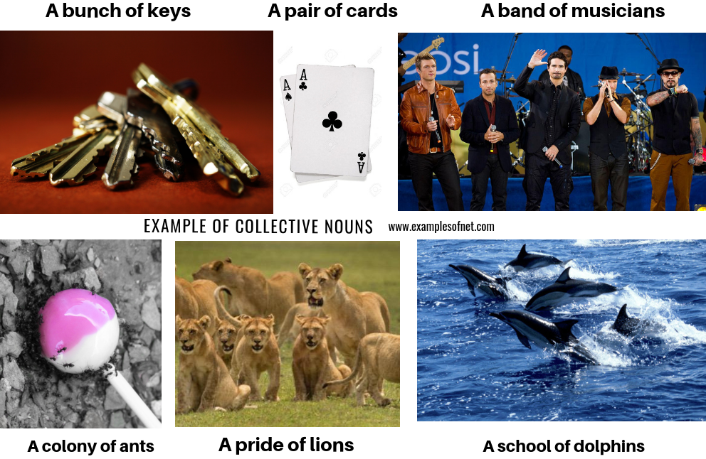 Examples of Collective Nouns