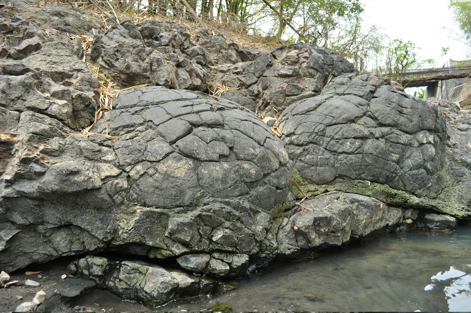 Akshay's Gyaan Basalt in Java.