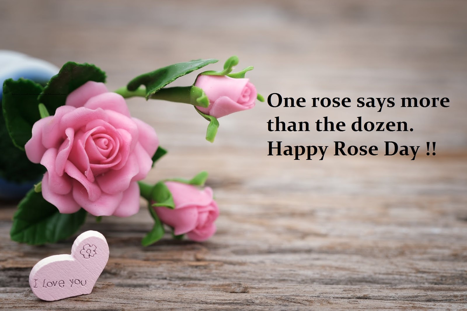 30 Best Ig Captions for Happy Rose Day 2022 Quotes, Wishes with Images