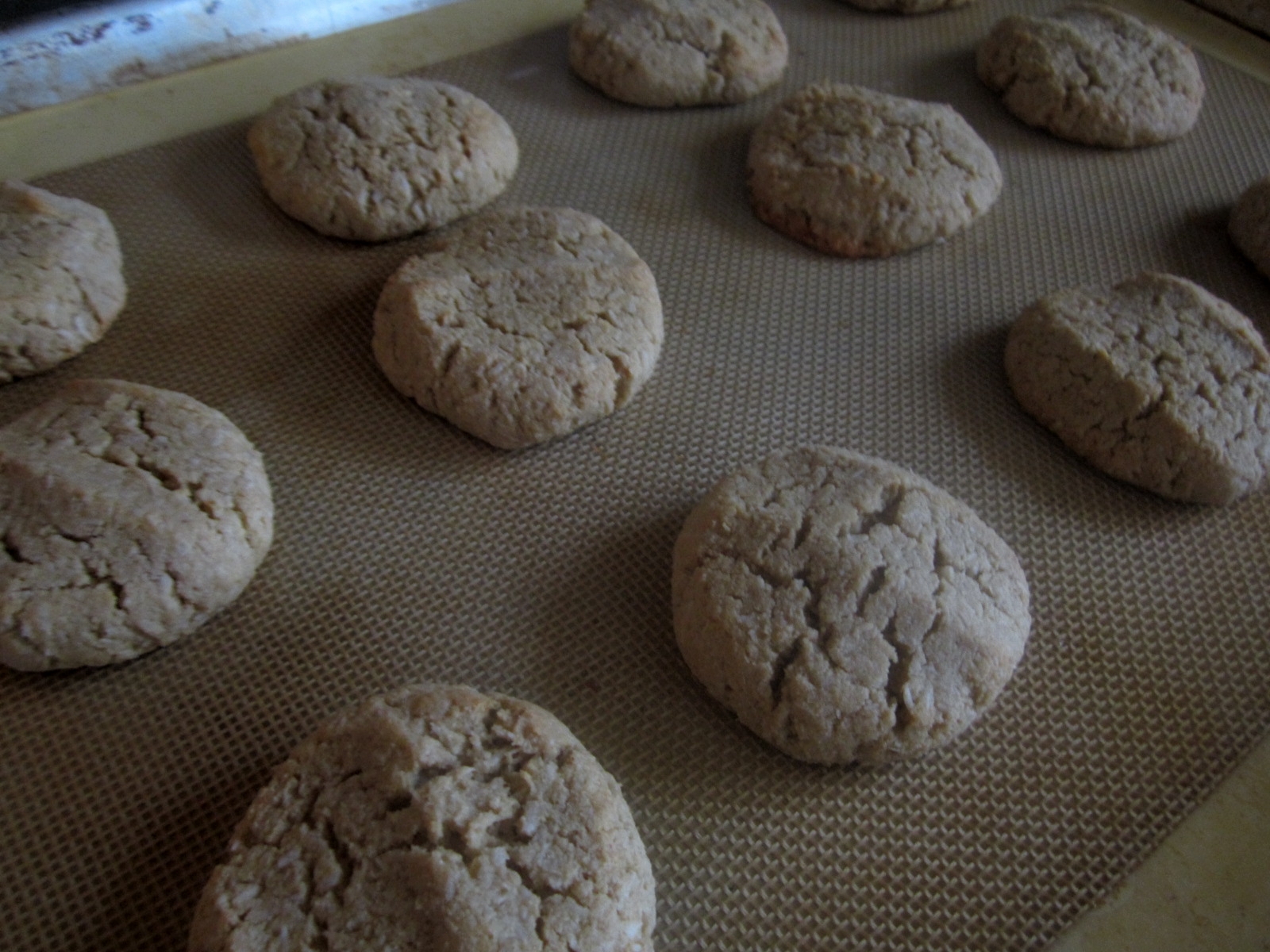 Family Bites to Savor Paleo Nut Butter Cookies