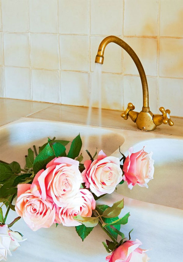kitchen faucet and Roses