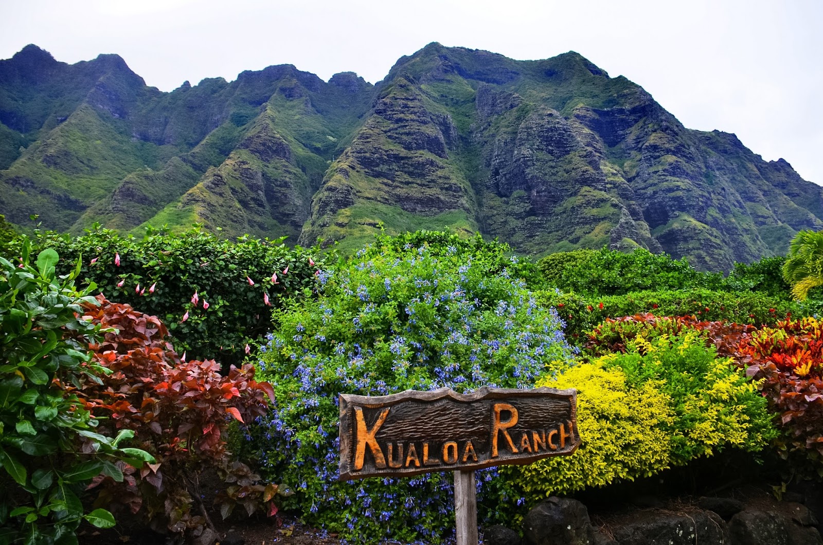 kualoa ranch