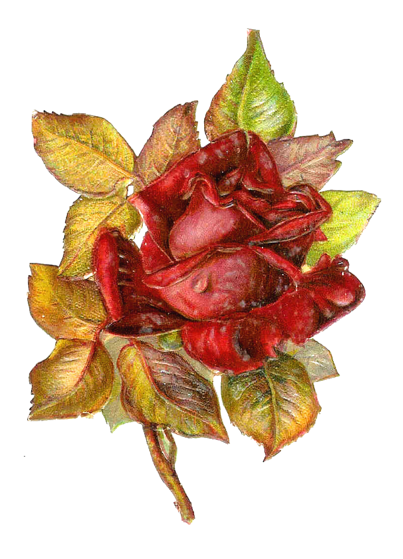 free clip art victorian flowers - photo #24