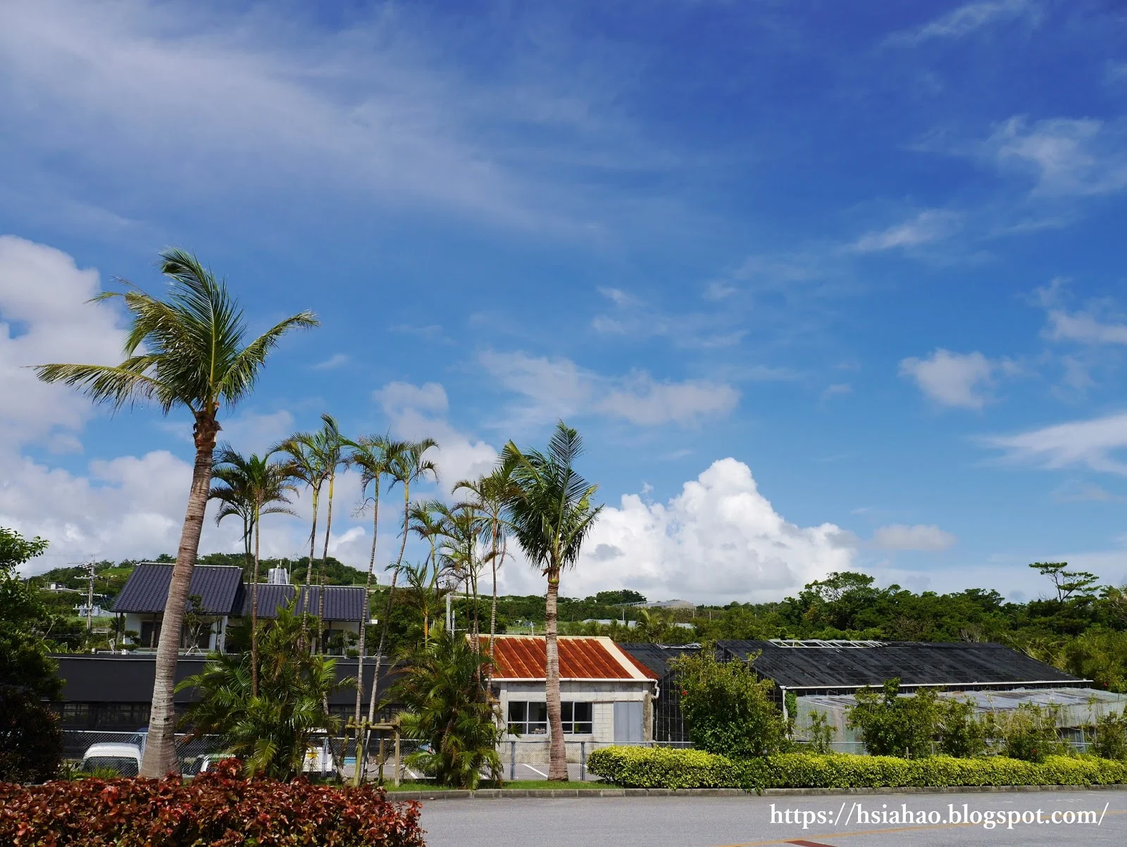 沖繩-景點-推薦-親子景點-家庭-沖繩世界文化王國-玉泉洞-自由行-旅遊-Okinawa-world