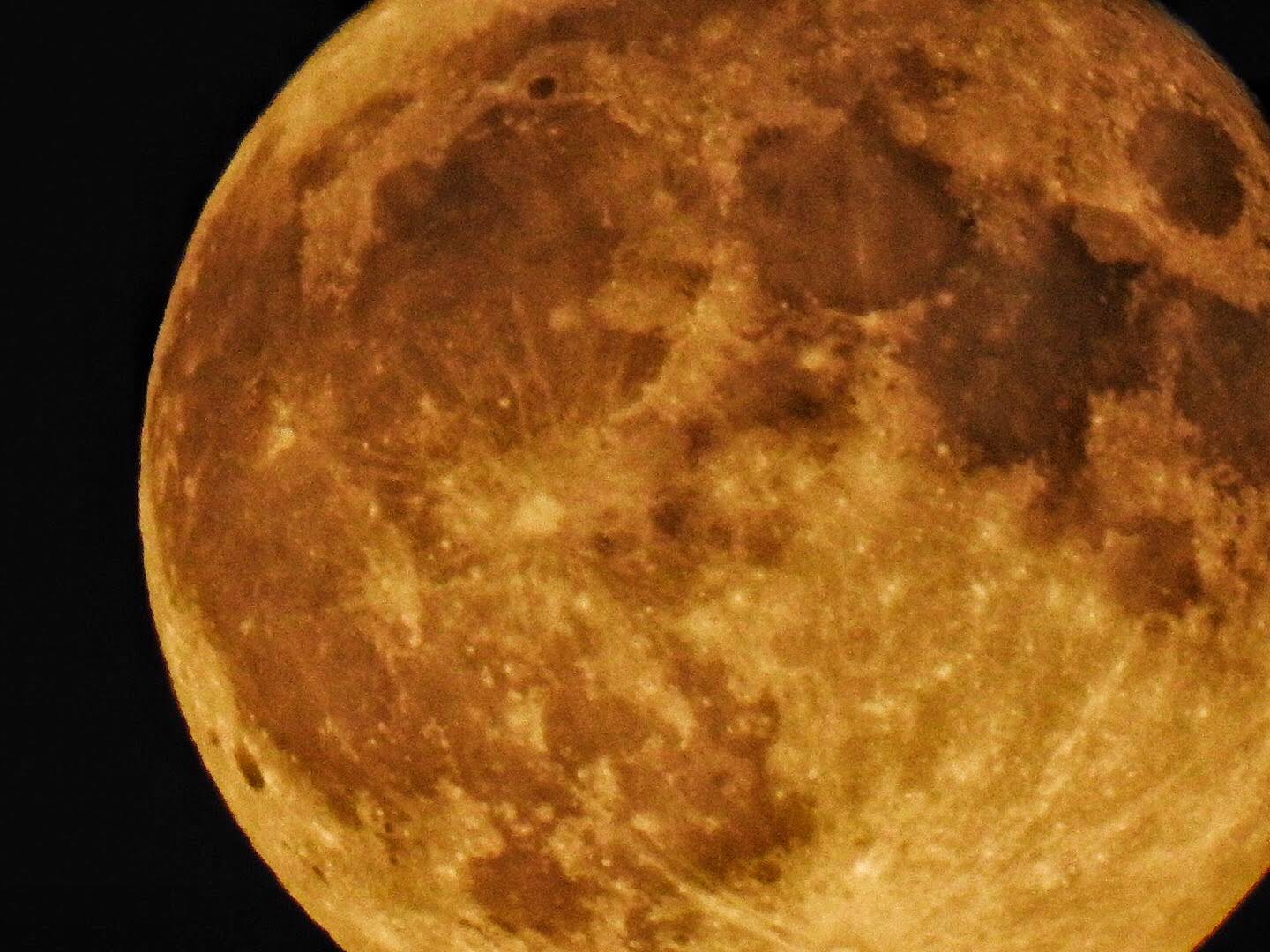 Terrierman's Daily Dose The Moon Last Night