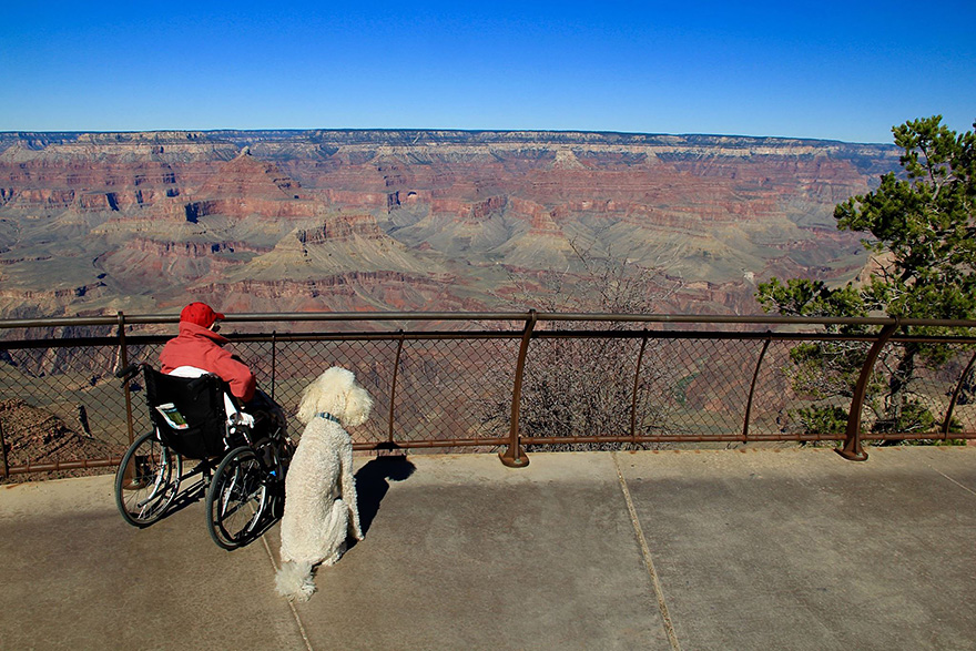 90-Year-Old With Cancer Chooses Epic Road Trip With Family Instead Of Treatment - Their journey doesn’t seem to be ending anytime soon. Who knows where they’ll go next? 90-Year-Old With Cancer Chooses Epic Road Trip With Family Instead Of Treatment - Their journey doesn’t seem to be ending anytime soon. Who knows where they’ll go next?