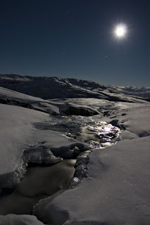 Bilde