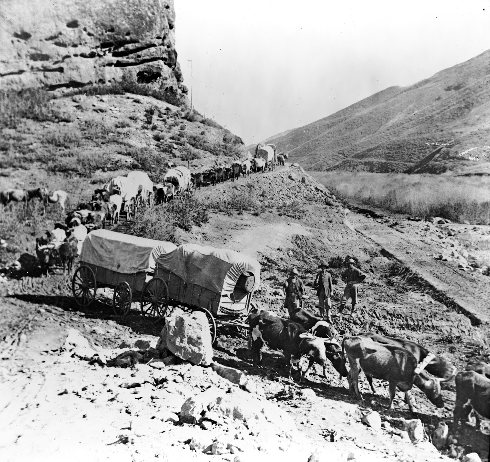 Tangled Roots and Trees 52 Ancestors 28 Last of the Covered Wagons