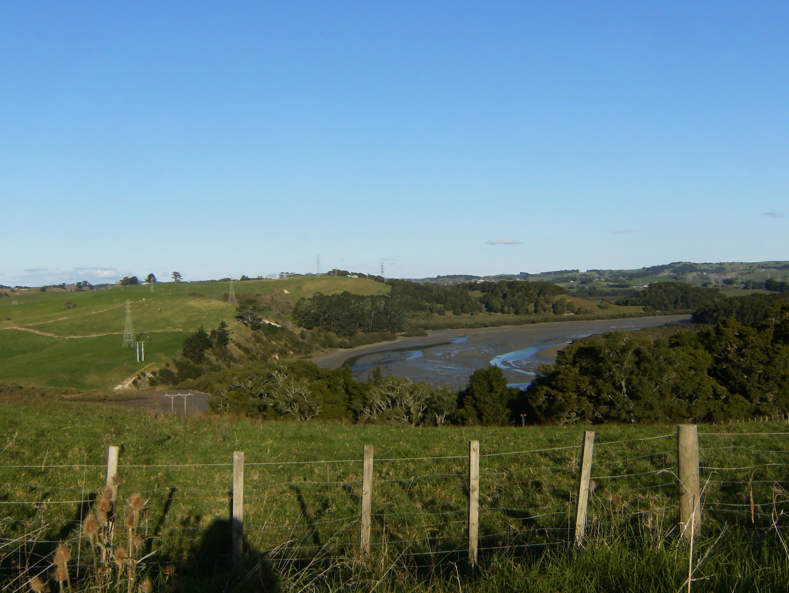 Aroha, Kinipela!