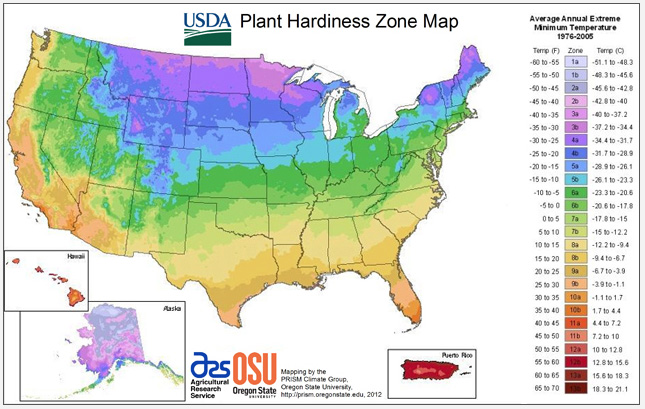 USDA Releases New Hardiness Zone Map | Root Simple