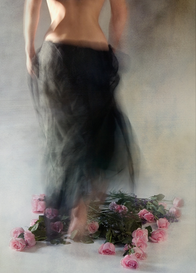 Miriana Mitrovich | Bulgarian-born Canadian Abstract photographer | Four Dozen Roses