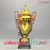 Cup Đồng Bóng Đá Đẹp Giá Rẻ - Mã BBT1309