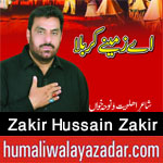 http://www.humaliwalayazadar.com/2015/09/zakir-hussain-zakir-nohay-2009-to-2016.html