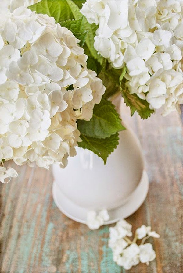 Cut flowers in enchanting decoration ideas