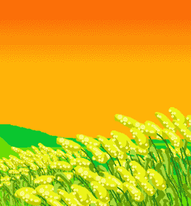 Happy Makar Sankranti Wishes