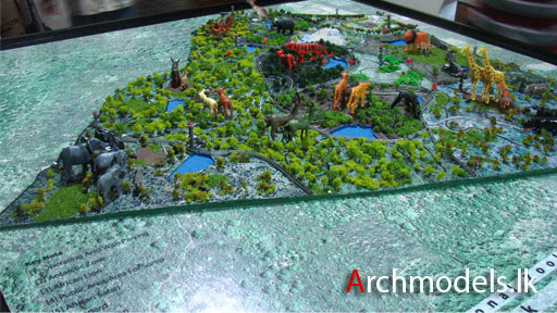 Safari02.jpg