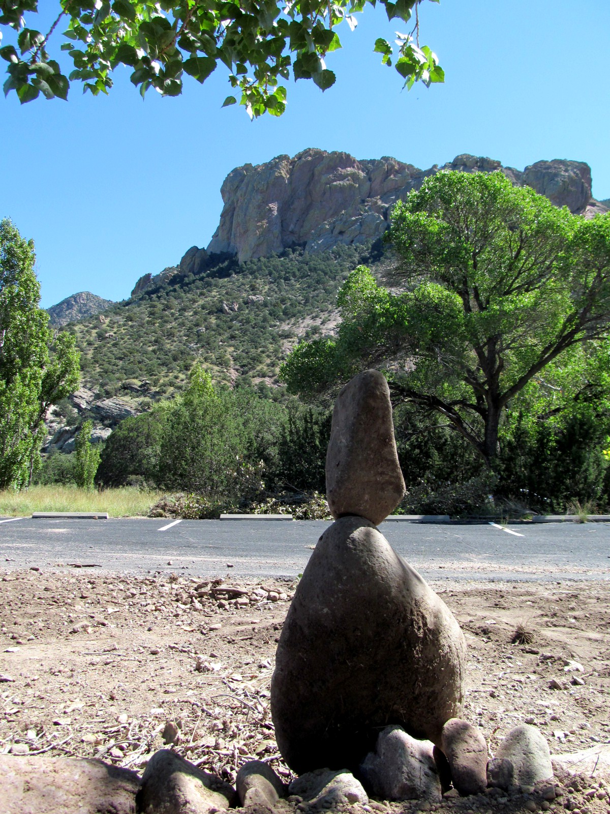 Blogging from the Boot Heel Friends of Cave Creek Canyon and National