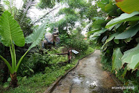 petualangan dinosaurus tmii