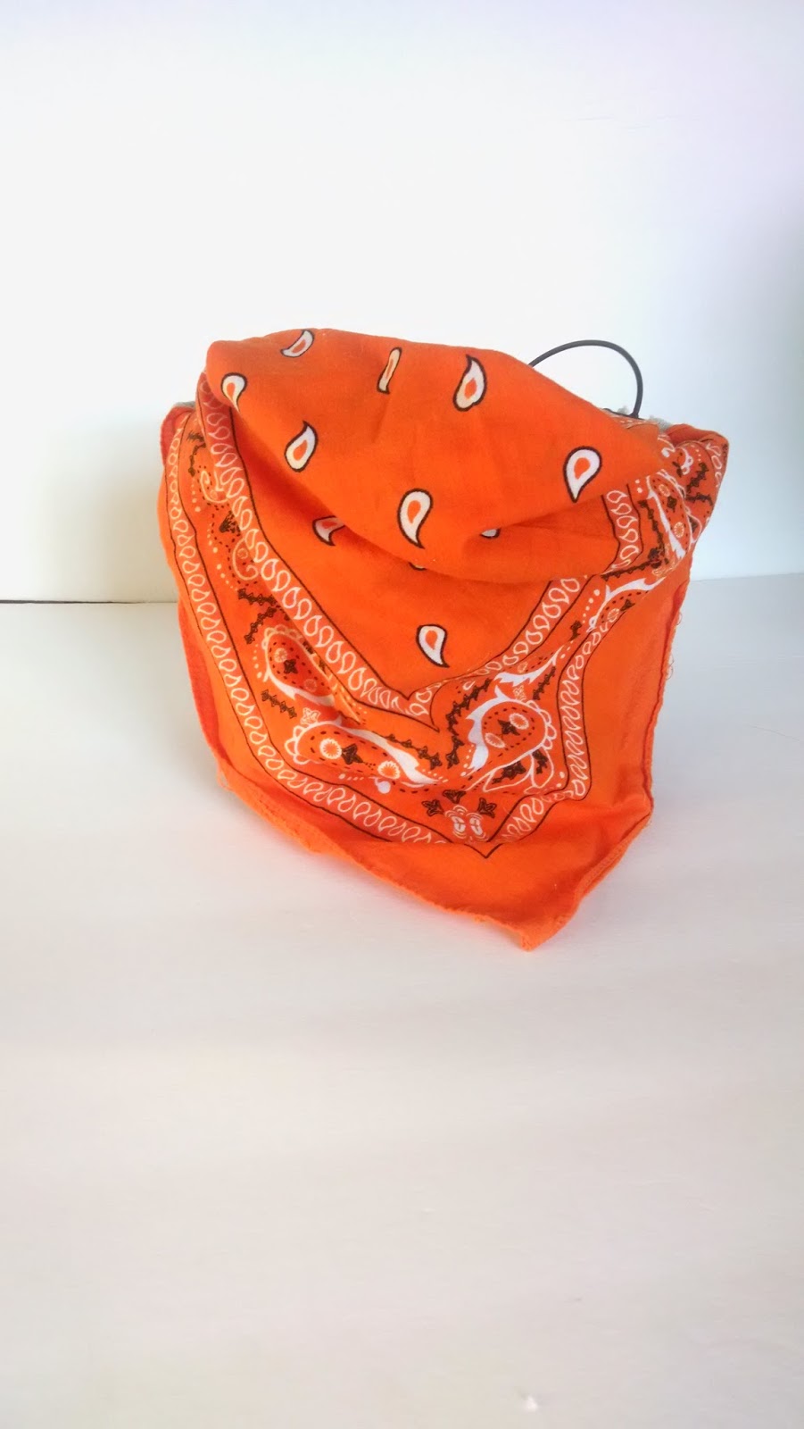 No Ordinary Sparrow Repurposed on Purpose Bandanna Napkins