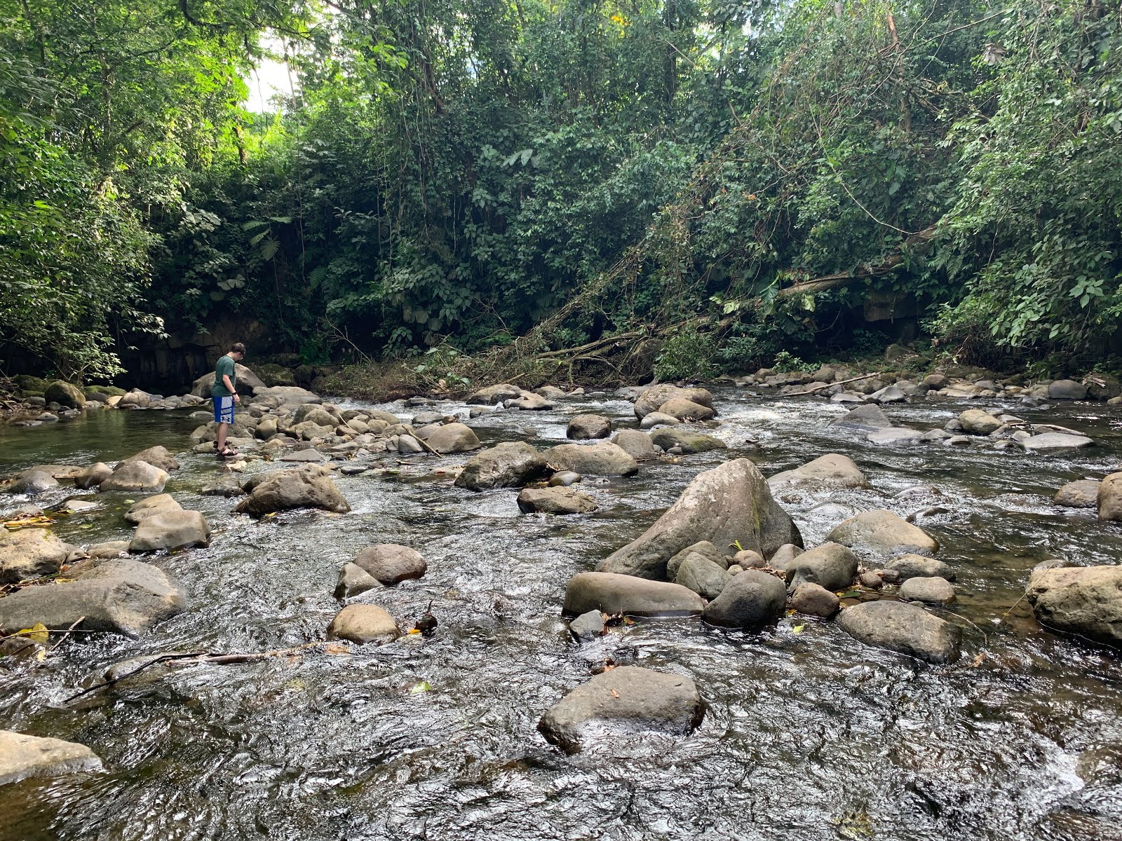 Good Knight Times El Salto (Rope Swing) Swimming Hole Near La Fortuna