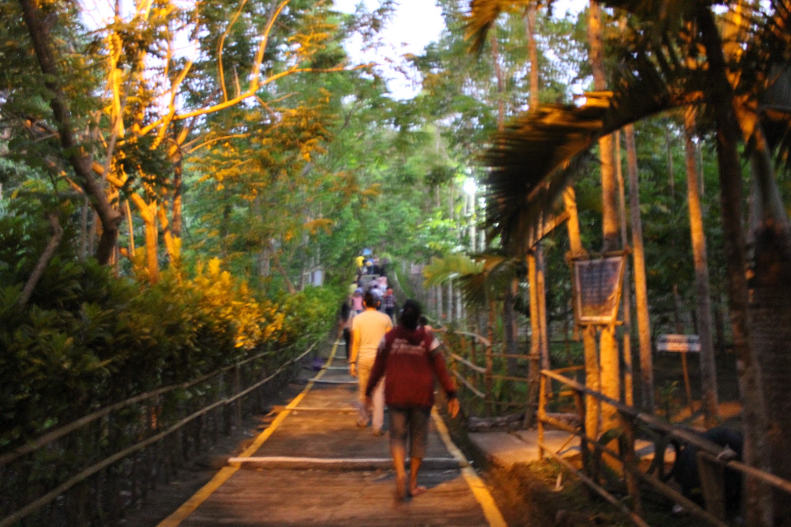 Stay, Stray, Play and Feast Kawa Kawa Hill and Nature Park, Ligao