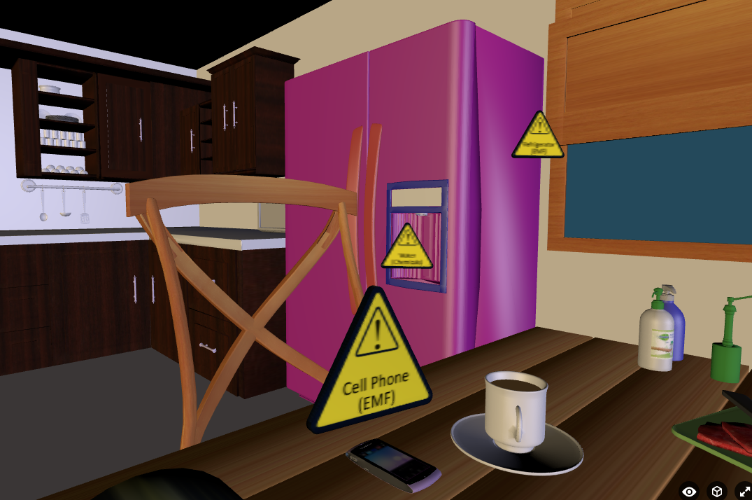 Environmental Health Hazards The many health hazards in your home