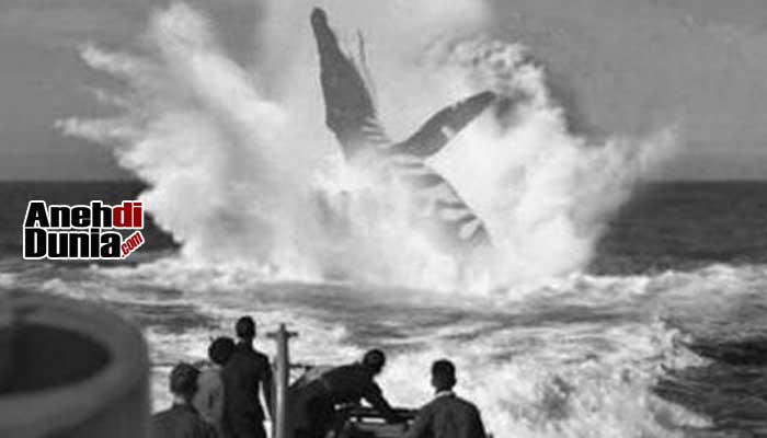 Misteri Penampakan Monster Raksasa Penghuni Laut Dalam Berita