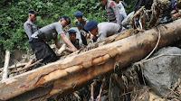 http://sciencythoughts.blogspot.co.uk/2016/05/seventeen-students-confirmed-dead-after.html