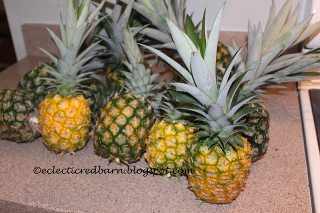 Eclectic Red Barn: Pineapples