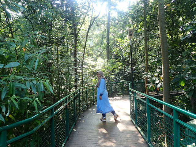 Forest Walk Terpanjang di ASEAN