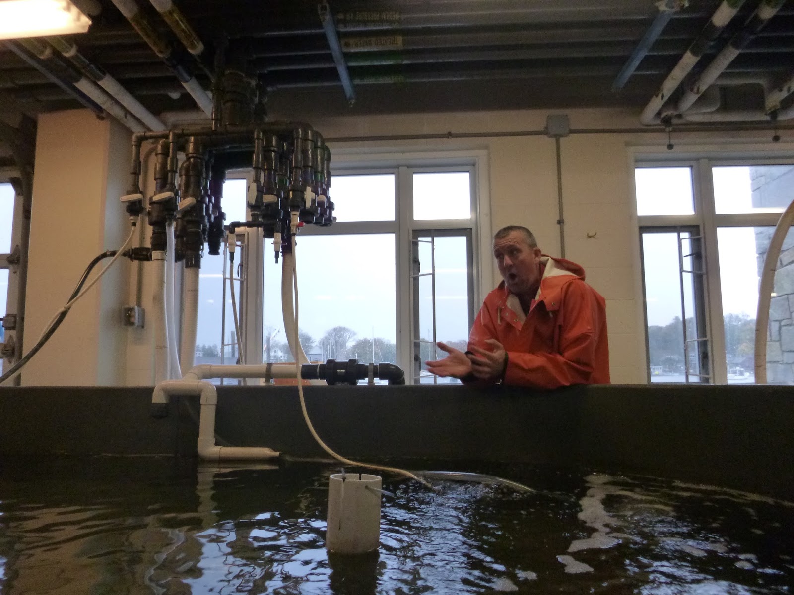 An Ocean Lover in Maine Disneyland for Marine Biologists (MBL's Marine