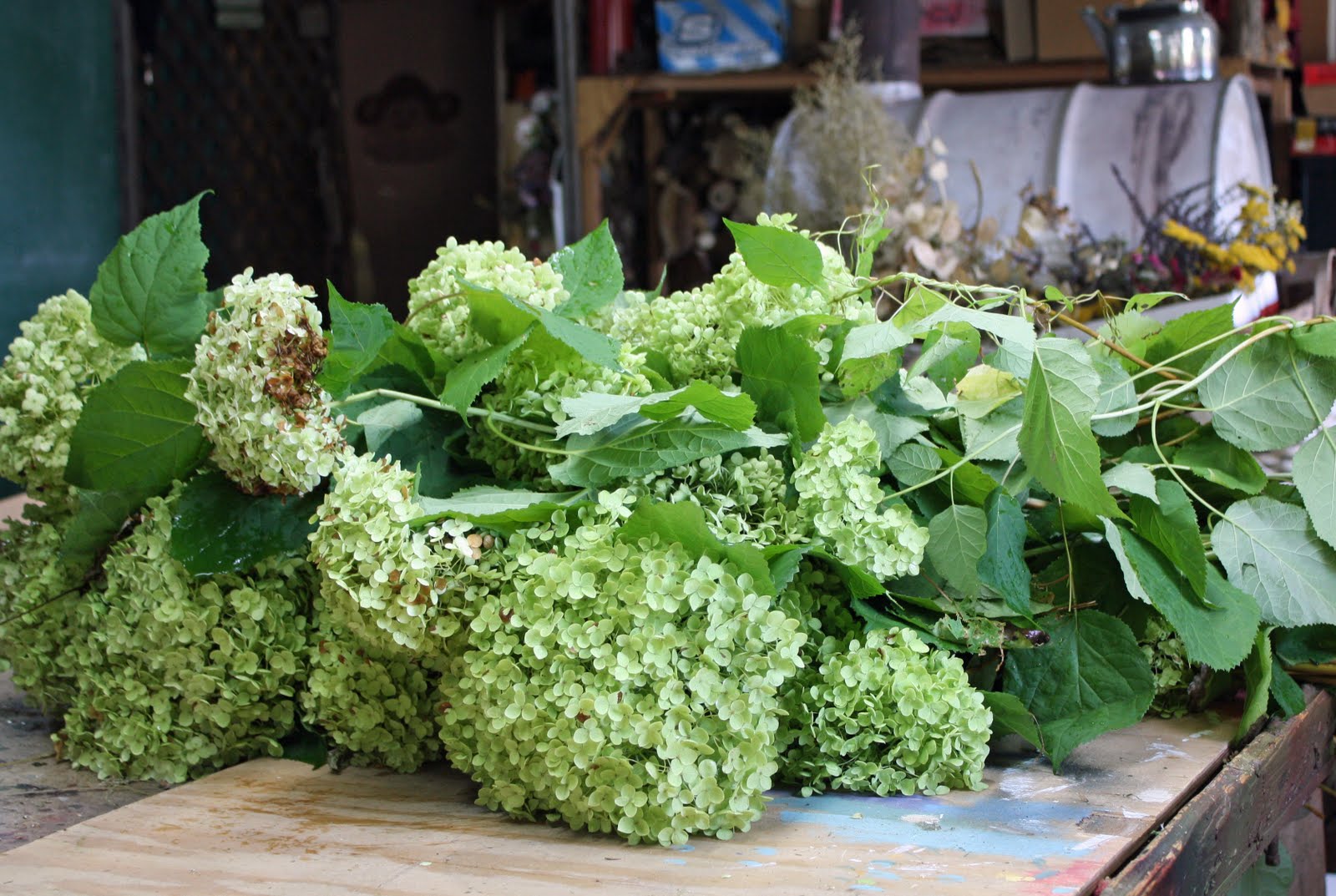 The Farm Preserving Hydrangea Blooms