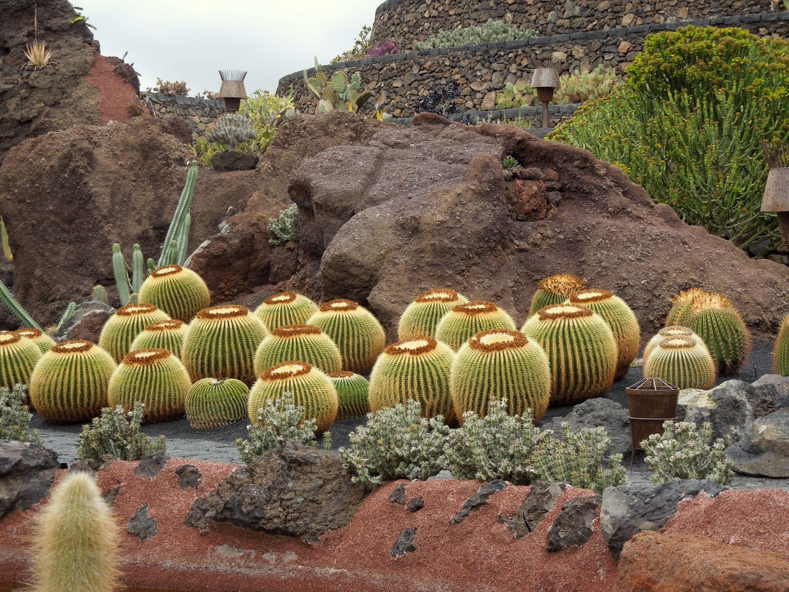 Jardín de Cactus de Lanzarote Echinocactus BOTÀNIC SERRAT