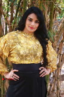 South Indian Actress Shweta Menon Stills at Inayathalam Audio Launch Stills  0008