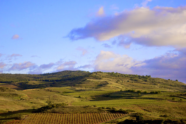Paisajes del Vino en Rioja Alavesa