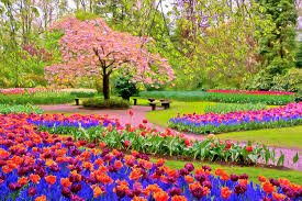images%2B%25289%2529