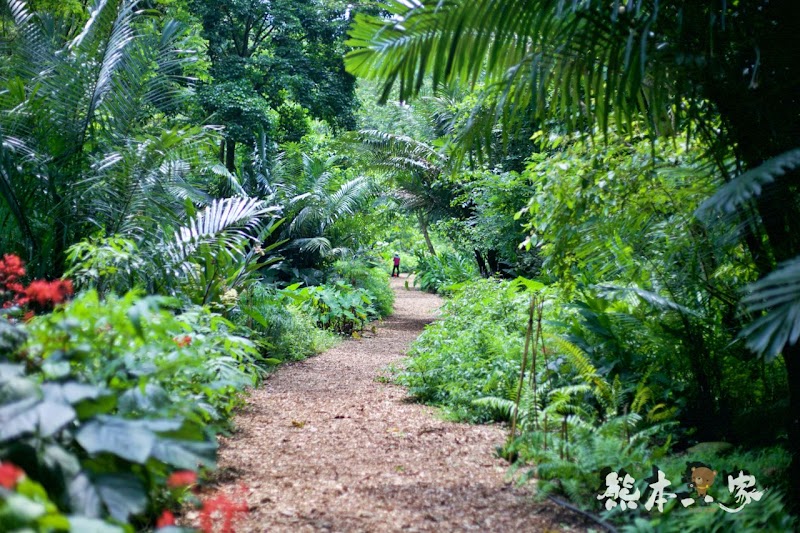 偶像劇「薰衣草」場景|花坊、蝴蝶生態區步道|飛牛牧場~唯美自然系IG景點
