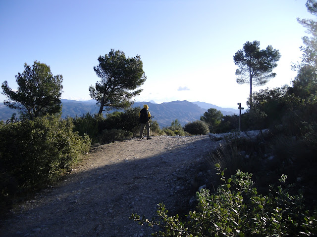 Alt del Carrascalet. El Maigmó