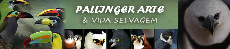 Pallinger Arte & Vida Selvagem