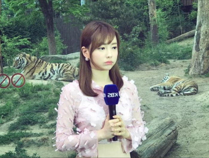 각 방송사 기상 캐스터들 | 인스티즈