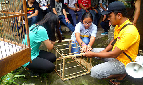 Insights Rural Creative Part: 2 Insights Rural Creative Part: 2
