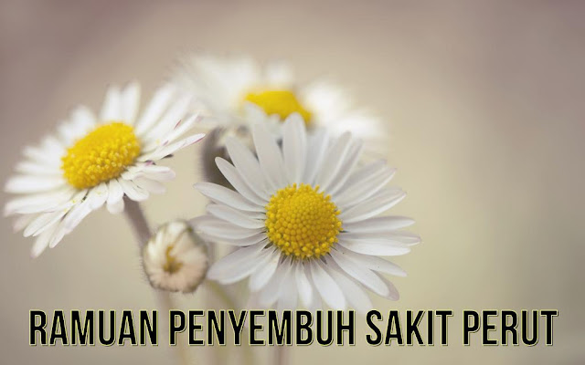 Ramuan Herbal untuk Mengatasi Sakit Perut