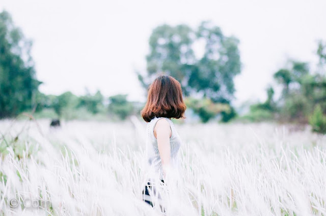 Top 99 Bài Thơ & Những Câu Thơ Ngắn Hay Về Hoa Cỏ May Thật Đẹp