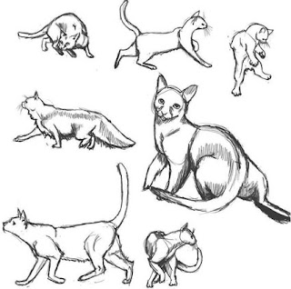 Menggambar Variasi Gerakan Kucing dengan Mudah