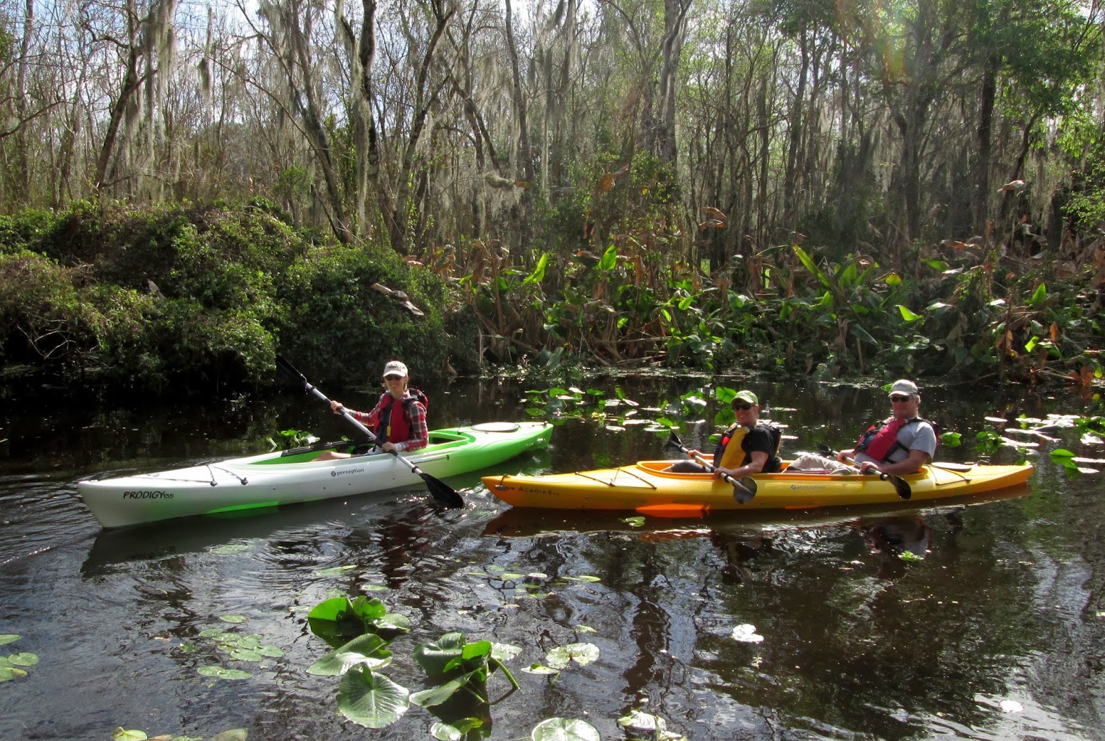 Central Florida Kayak Tours Kayaking with the Manatees January 13, 2014